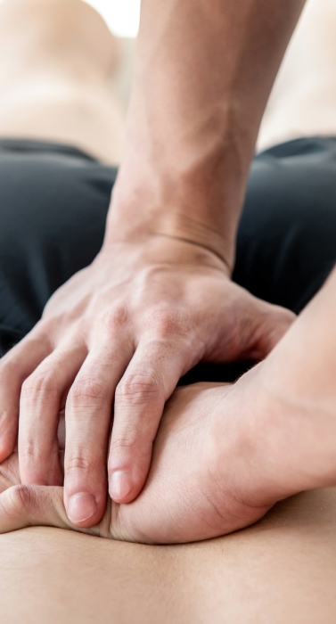 Physiotherapy_Hands_On